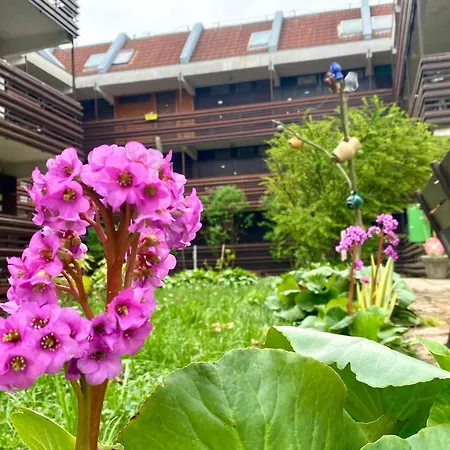 Napsugar Retro Apartament Gárdony