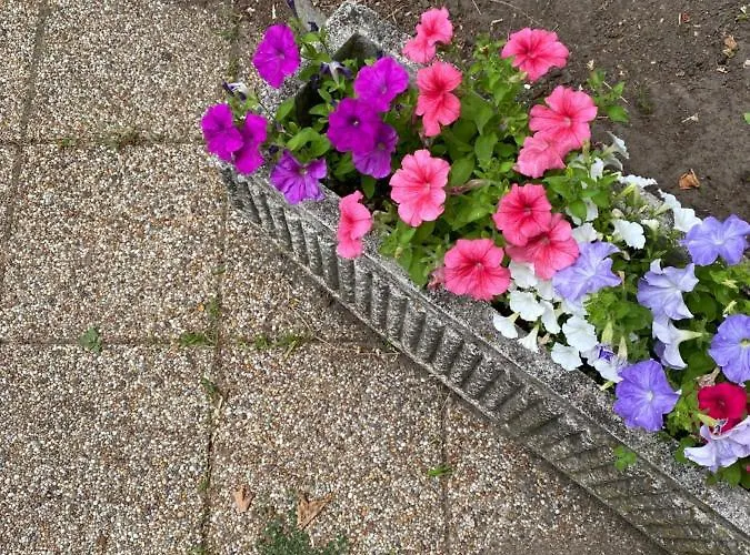 Apartman Napsugár Retro Gárdony