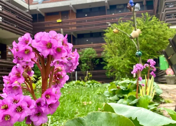 Napsugár Retro Apartman Gárdony